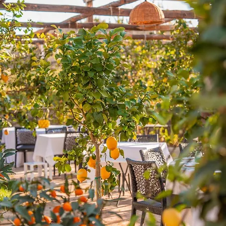 Boutique Casa Mariantonia فندق
