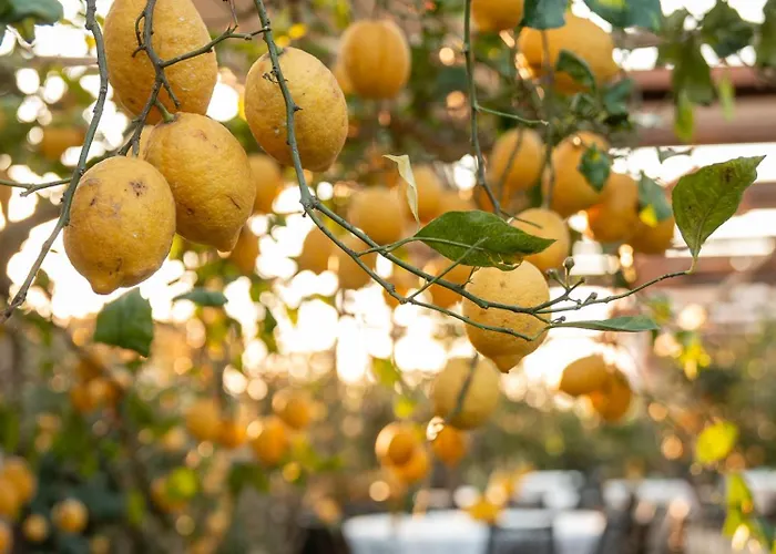 فندق Boutique Casa Mariantonia