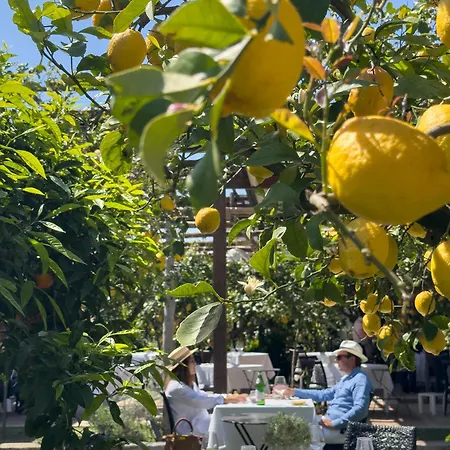 فندق Boutique Casa Mariantonia أناكابْري