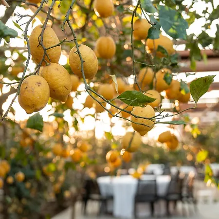 فندق Boutique Casa Mariantonia